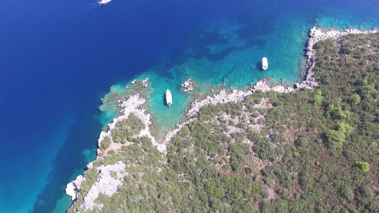 kadirga koyu